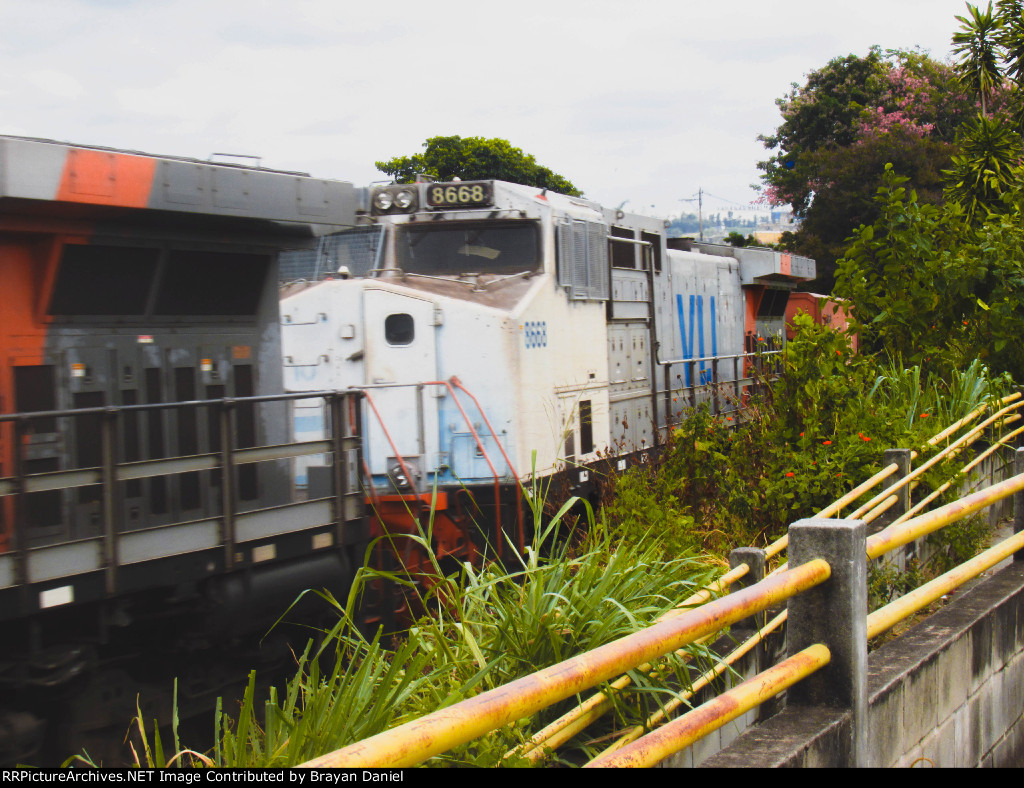 VLI 8668
